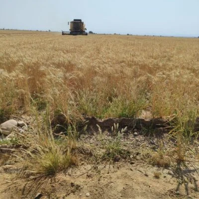 ab068695-3aaa-4233-ad86-ca6eca8dee92