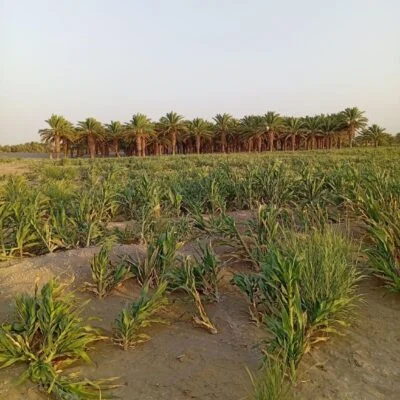 c389c74d-96b5-43f1-ae93-18c43b9f894b