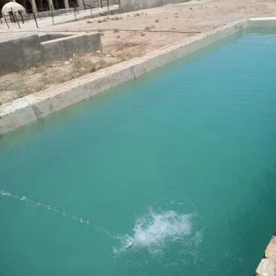 d8f21d24-a23f-4917-9713-50df7ebee144