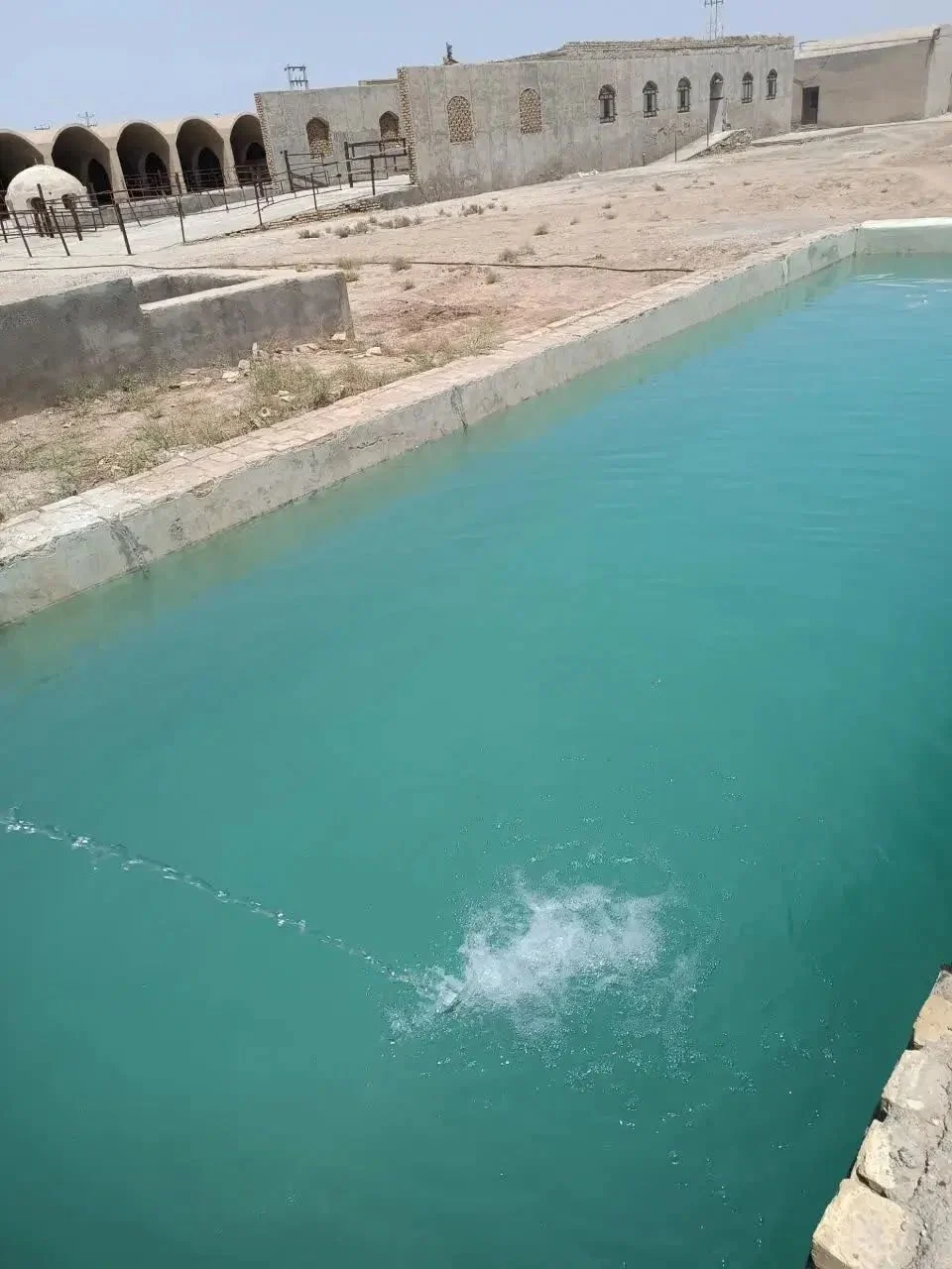 دامداری ۱۲هزار متری بهادران