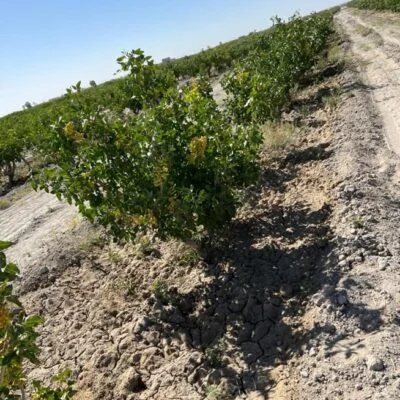 d951faa7-9746-4835-a79a-42a0adee0aff