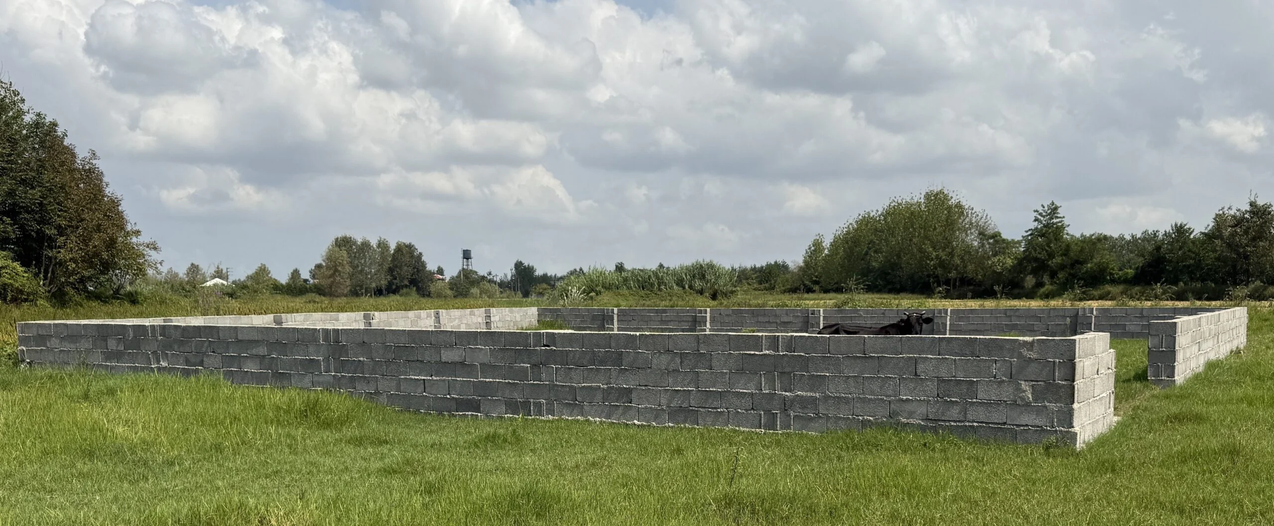 ۱۴۵۰ متر زمین بافت روستایی استان گیلان