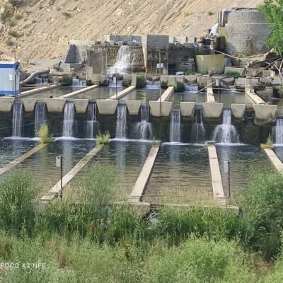 9a53cd77-4aea-4976-8d03-5225b99b9451