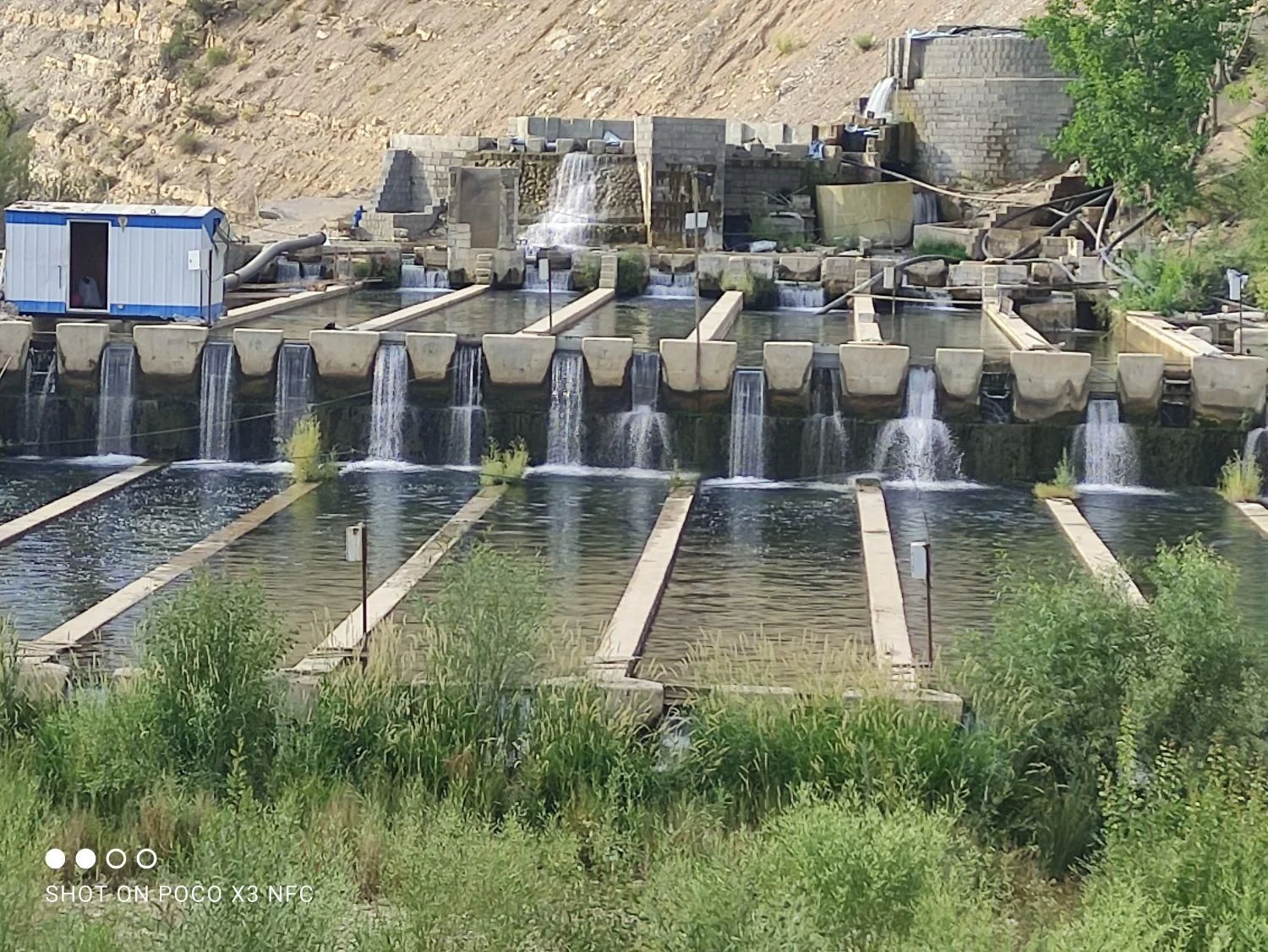فروش ارزان ترین پرورش ماهی در ایران