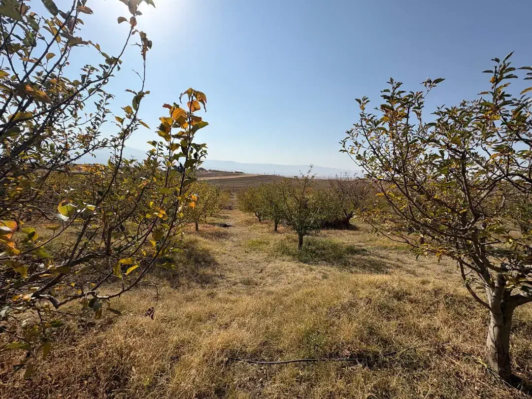 فروش باغ ۸۰۰۰مترمربعی سند شش دانگ تک برگی