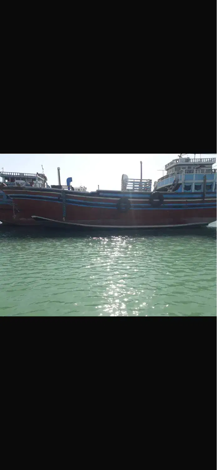 لنج باری فایبر