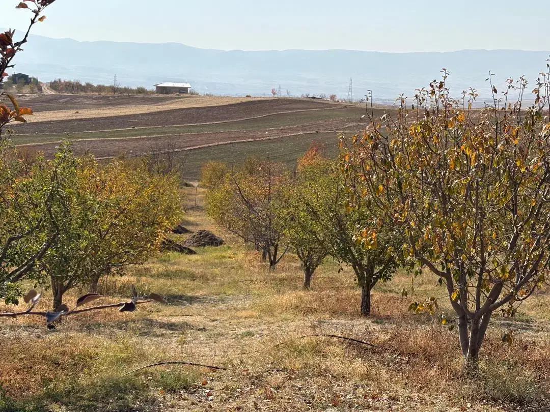 فروش باغ ۸۰۰۰مترمربعی سند شش دانگ تک برگی