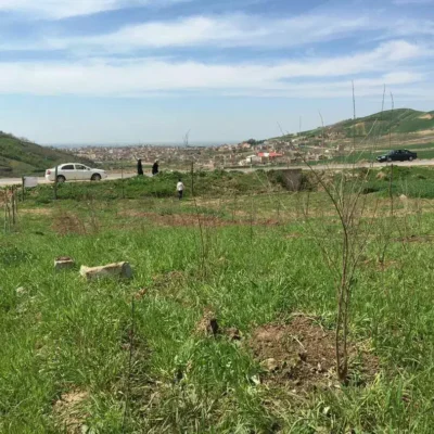 4e0ea5d1-067f-433c-ae33-3d49c30b1a7f