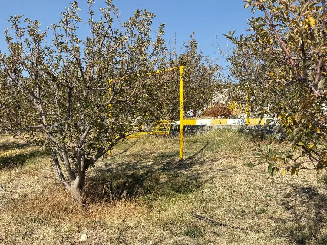 فروش باغ ۸۰۰۰مترمربعی سند شش دانگ تک برگی