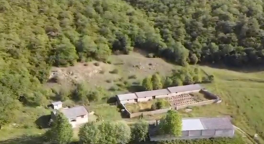 فروش مزرعه وتاسیسات دامپروری درمنطقه ۴دانگه ساری