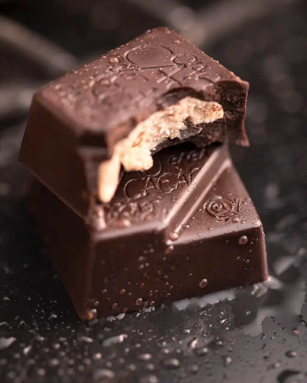 کارخانه صنایع غذایی فعال