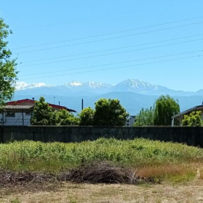 5a5b0fdd-d8e7-4b1c-bc4f-4cc46670a8bd