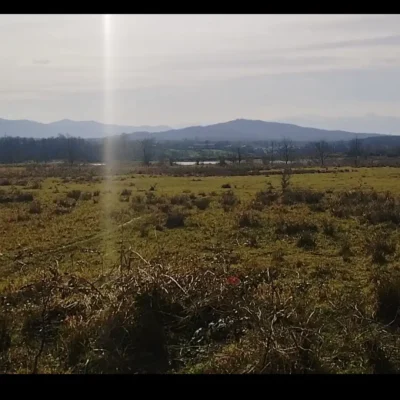 صفحه اصلی 52 5eba7d06-d819-455a-9587-f84c29f81d21