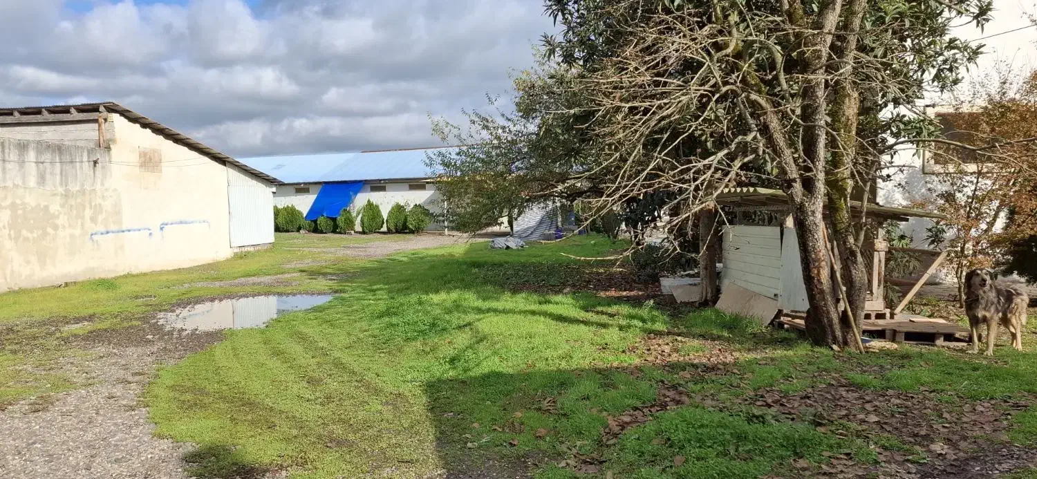 کارخانه بسته‌بندی و خشکبار با تجهیزات،امکانات کامل