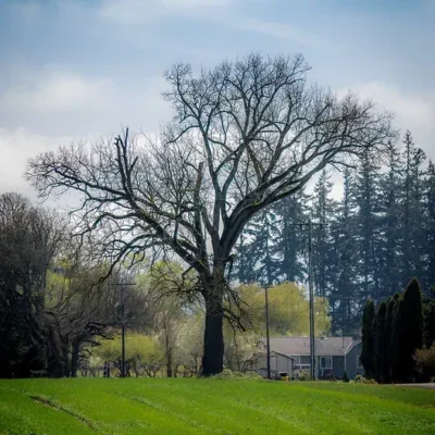 8dee558f-5811-4e06-8696-0421afd54d6f