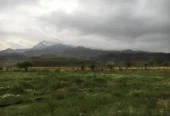 مزرعه در فرح آباد (۱۰۰ هکتار زمین کشاورزی ودام)