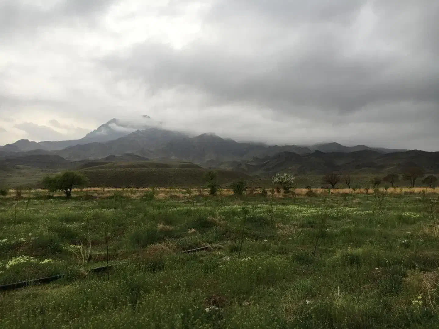 مزرعه در فرح آباد (۱۰۰ هکتار زمین کشاورزی ودام)