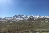 مزرعه در فرح آباد (۱۰۰ هکتار زمین کشاورزی ودام)