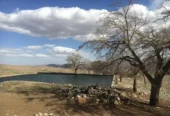 مزرعه در فرح آباد (۱۰۰ هکتار زمین کشاورزی ودام)