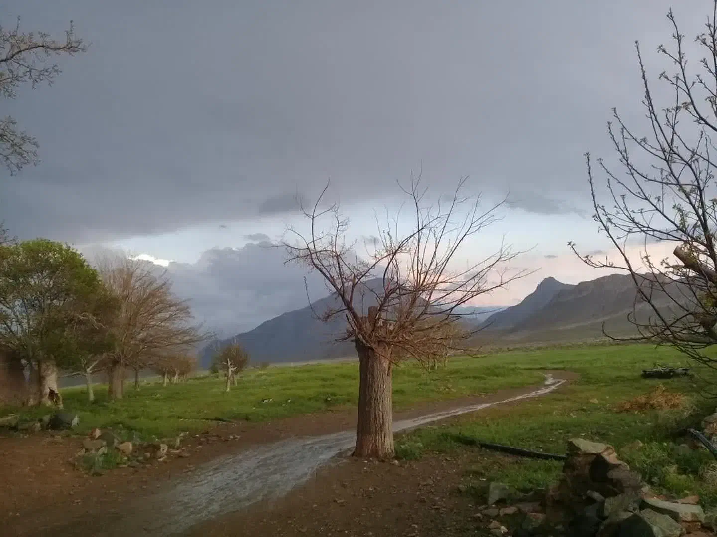 مزرعه در فرح آباد (۱۰۰ هکتار زمین کشاورزی ودام)