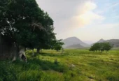 مزرعه در فرح آباد (۱۰۰ هکتار زمین کشاورزی ودام)