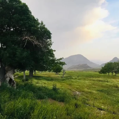 d064d1ed-01ef-4891-ac57-c9607dd73ee1