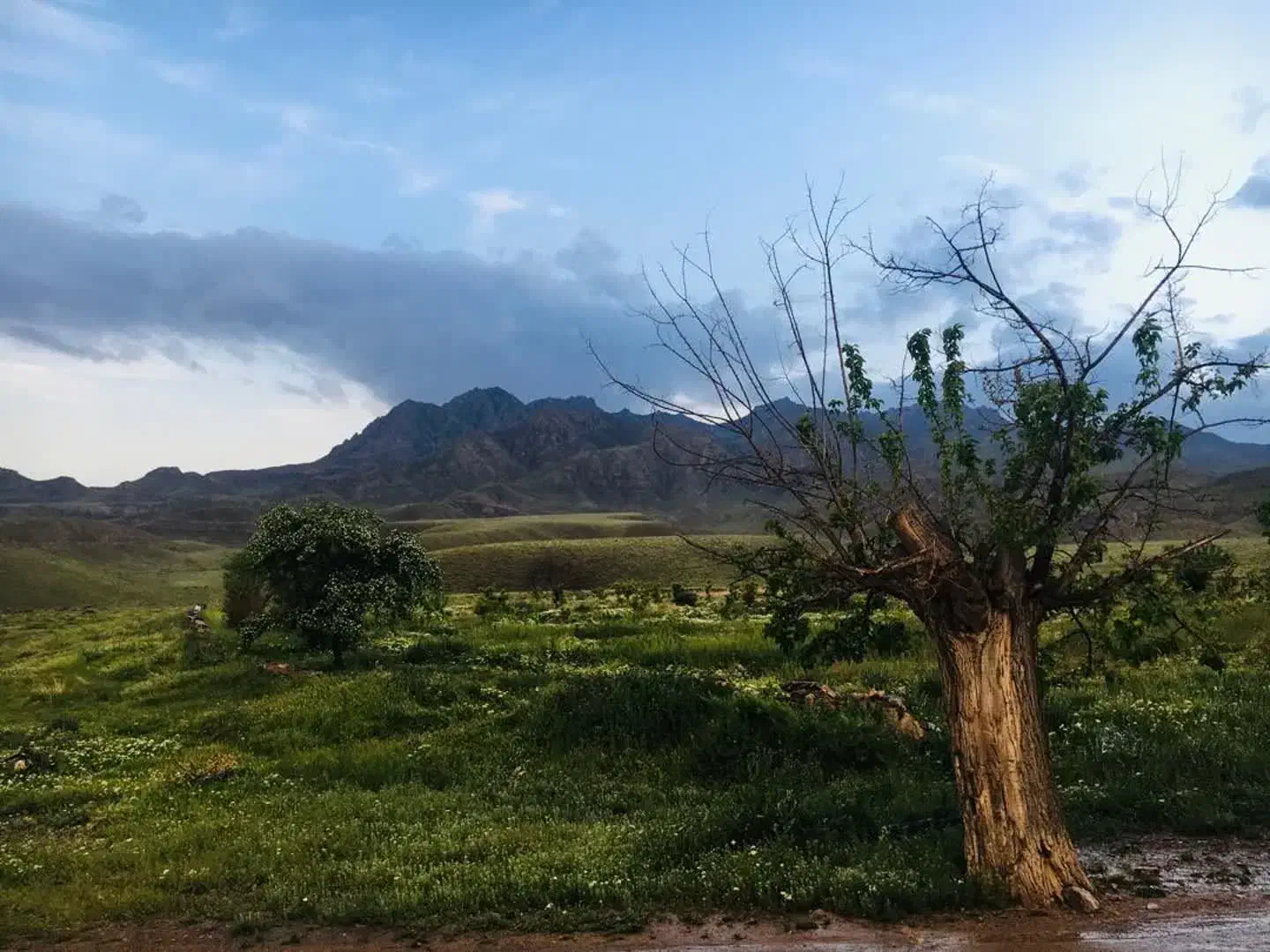 مزرعه در فرح آباد (۱۰۰ هکتار زمین کشاورزی ودام)