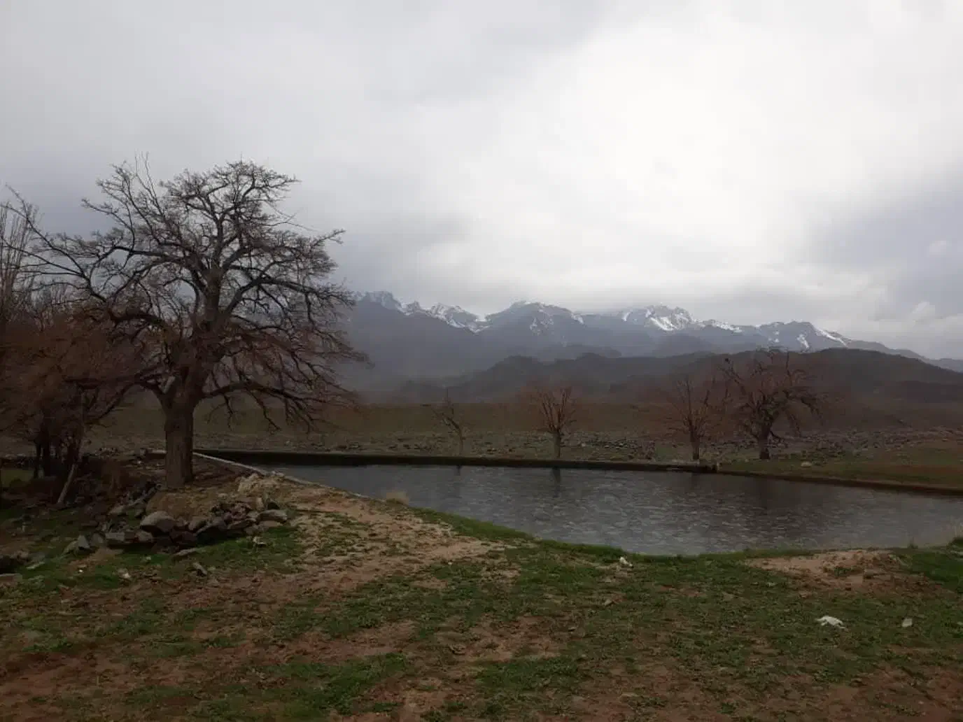 مزرعه در فرح آباد (۱۰۰ هکتار زمین کشاورزی ودام)