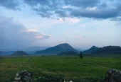 مزرعه در فرح آباد (۱۰۰ هکتار زمین کشاورزی ودام)