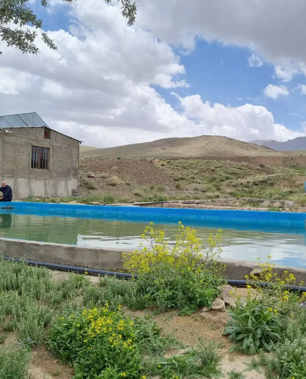 مزرعه سه هکتاری شخصی