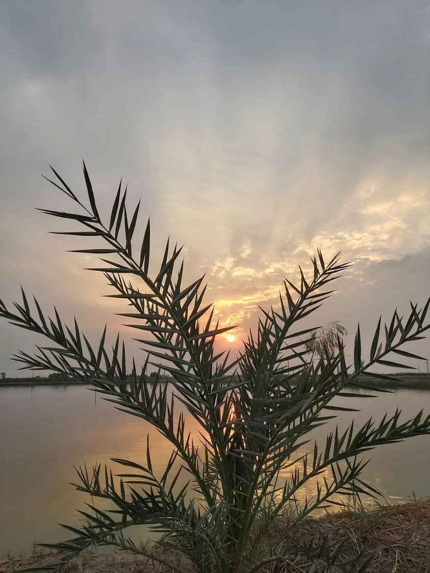 فروش مزرعه پرورش ماهی