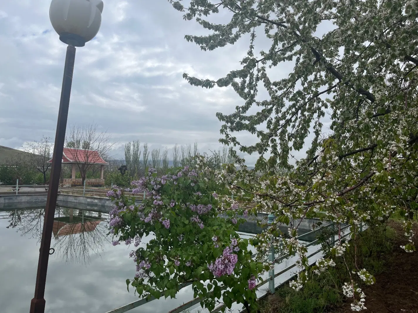 باغ خیابان دارایی مراغه