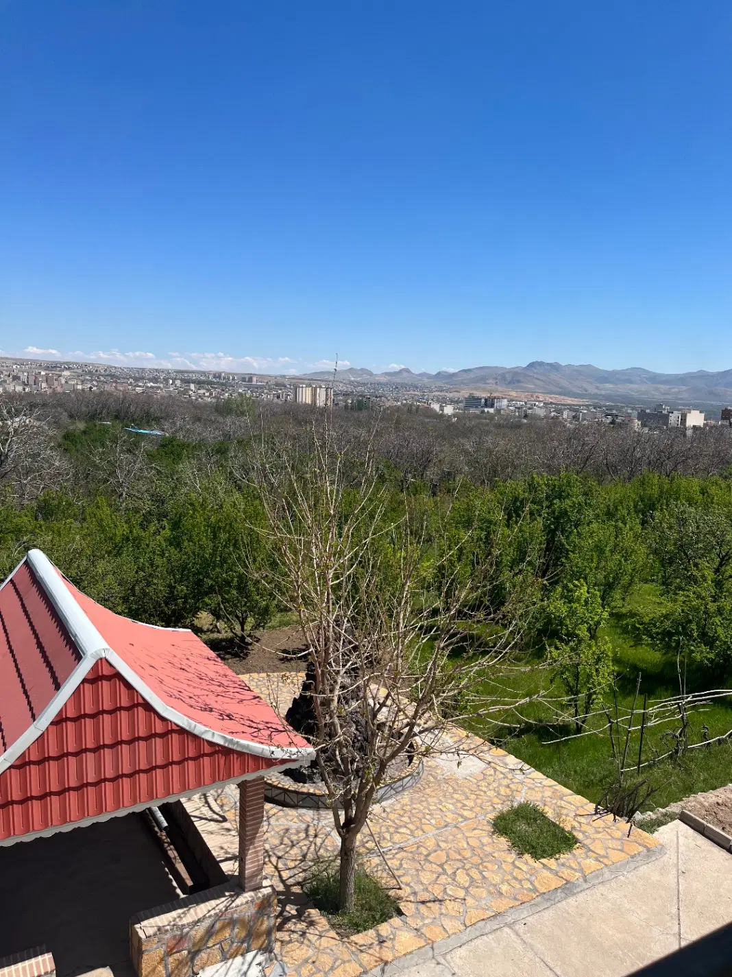 باغ خیابان دارایی مراغه