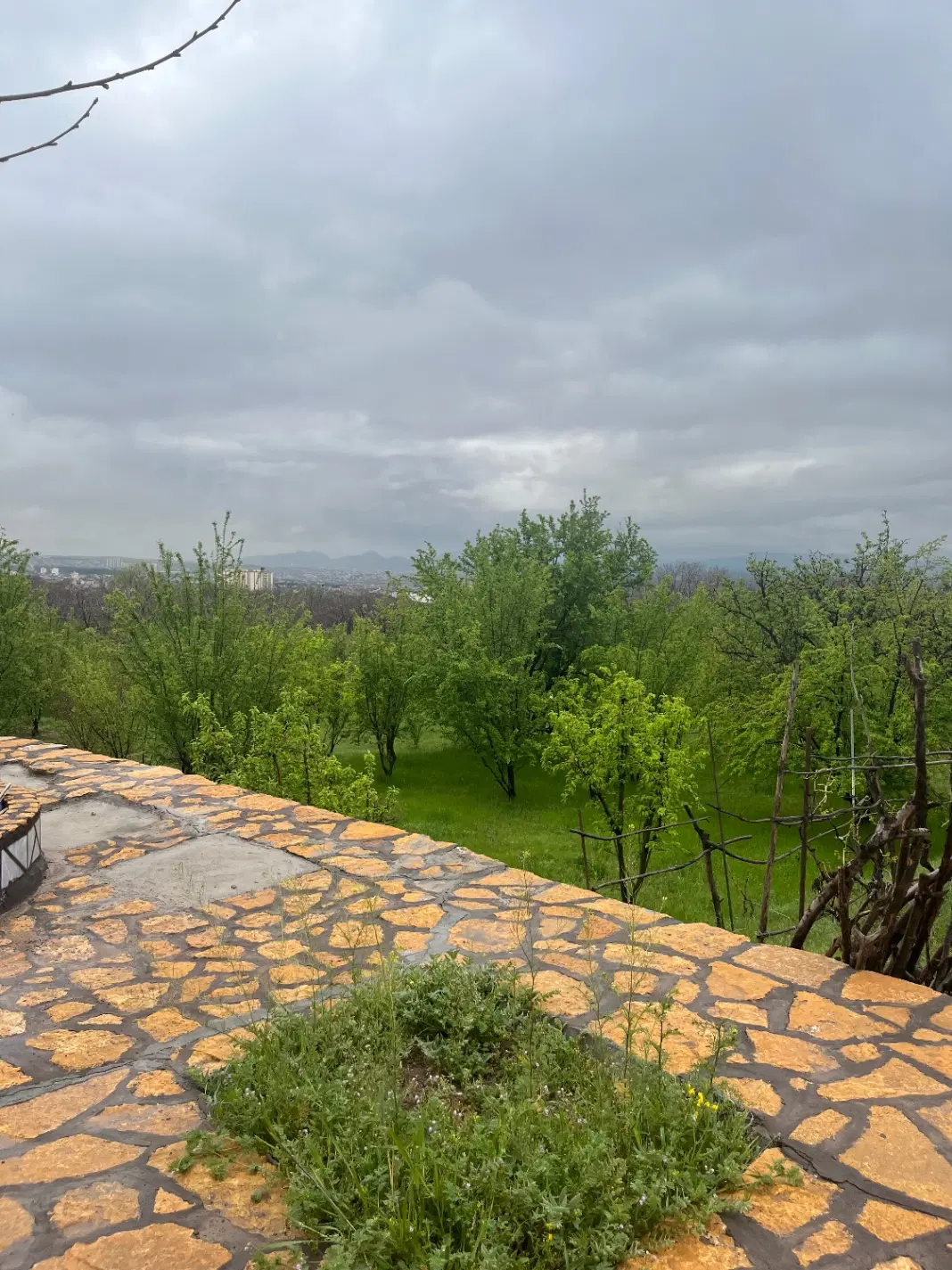 باغ خیابان دارایی مراغه