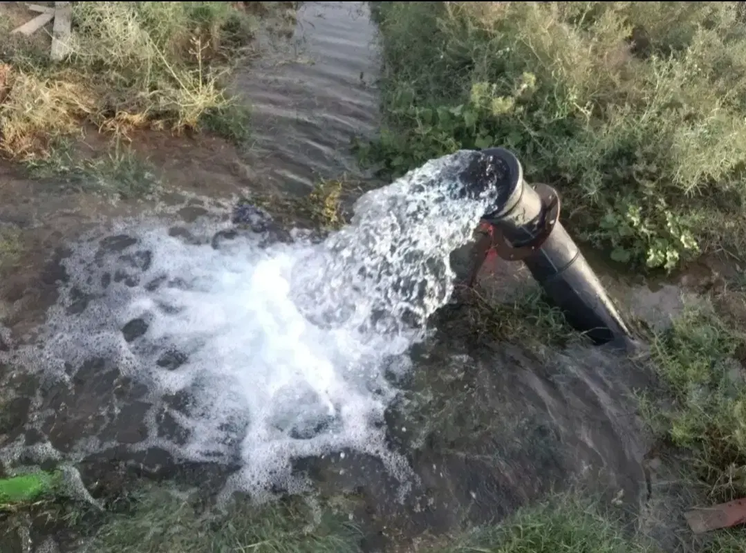 320 هکتاری کشاورزی