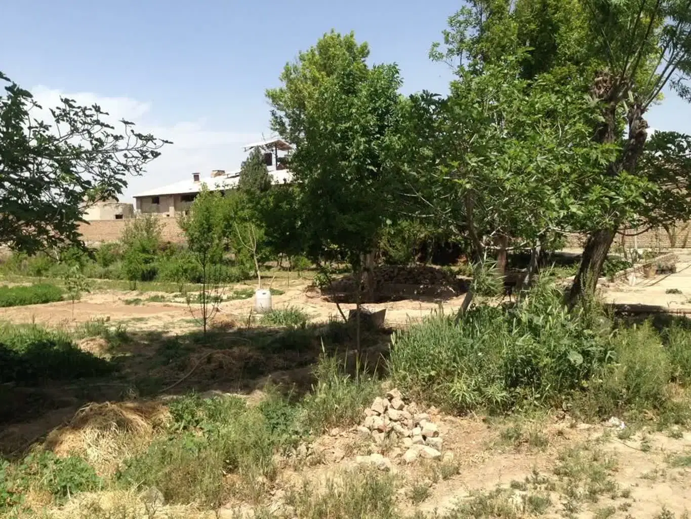 دامداری و مرغداری بر جاده اصلی سند ۶ دانگ