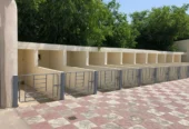 فروش گاوداری
