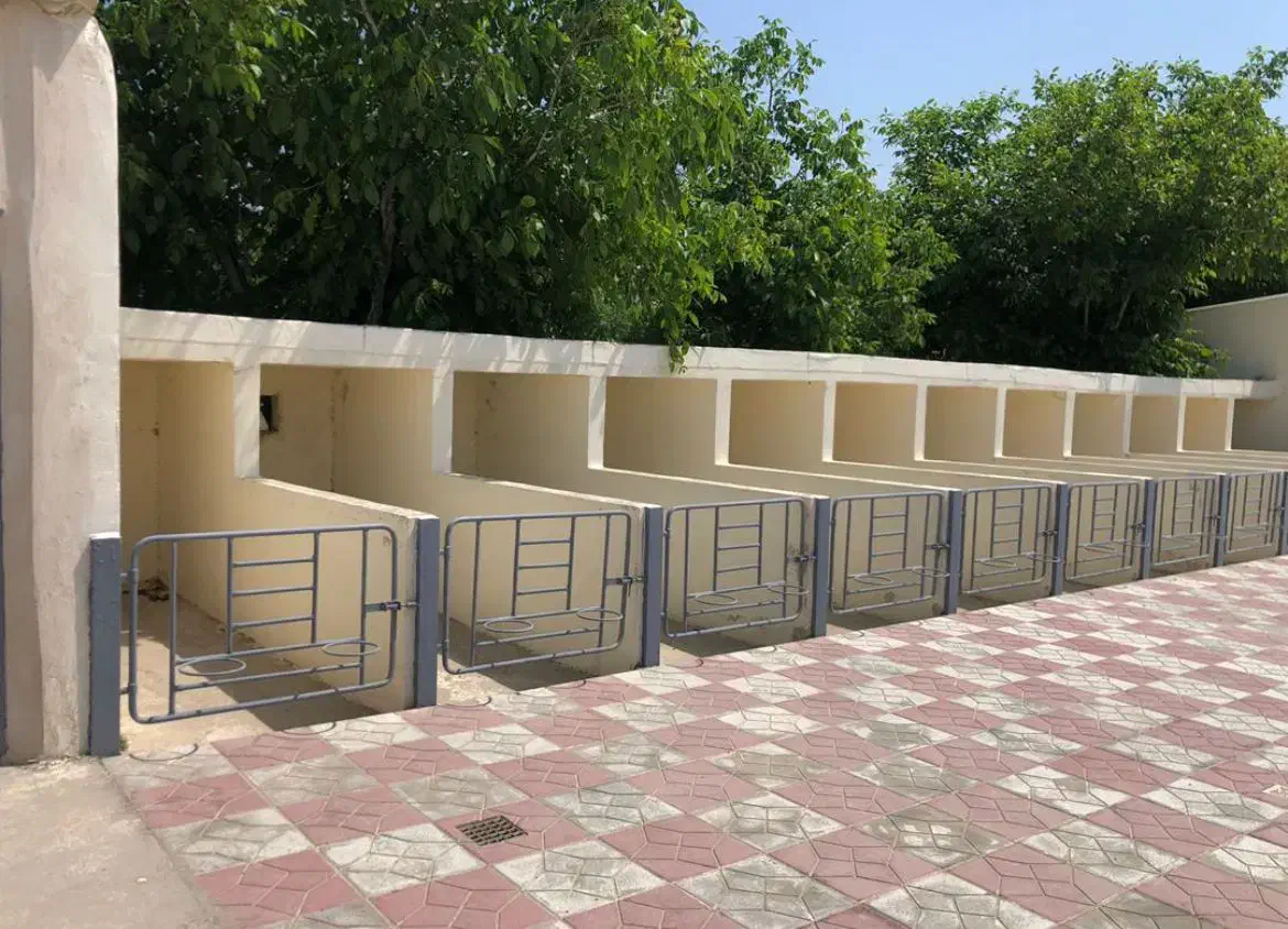 فروش گاوداری