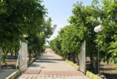 فروش گاوداری