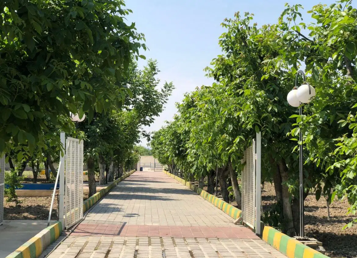 فروش گاوداری
