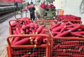کارخانه رنگرزی و ریسندگی شهرک صنعتی پایتخت تهران