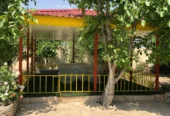 فروش گاوداری